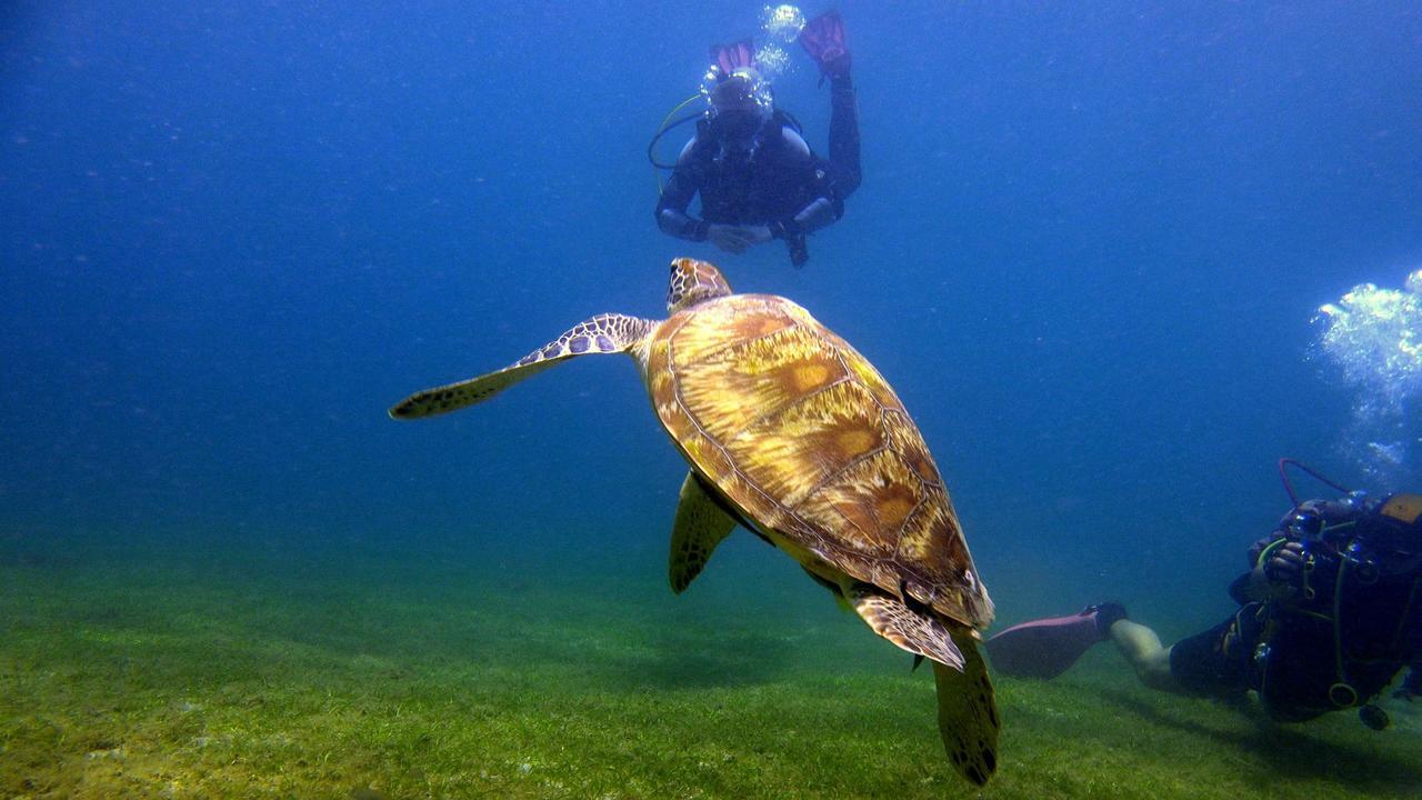 Deluna Diving Resort Пуерто Галера Екстериор снимка